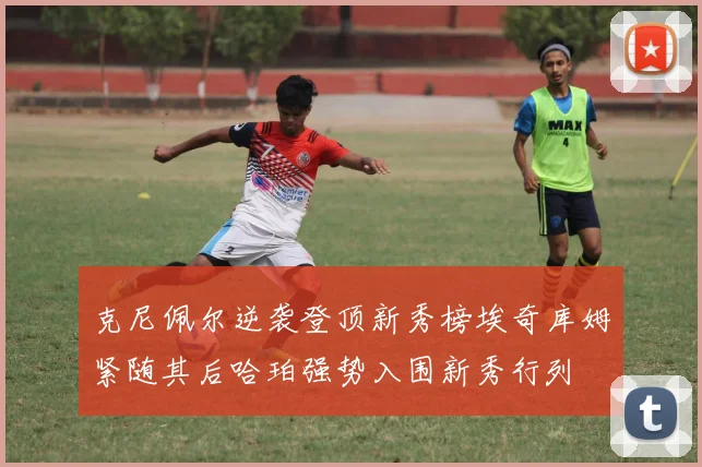 克尼佩尔逆袭登顶新秀榜埃奇库姆紧随其后哈珀强势入围新秀行列